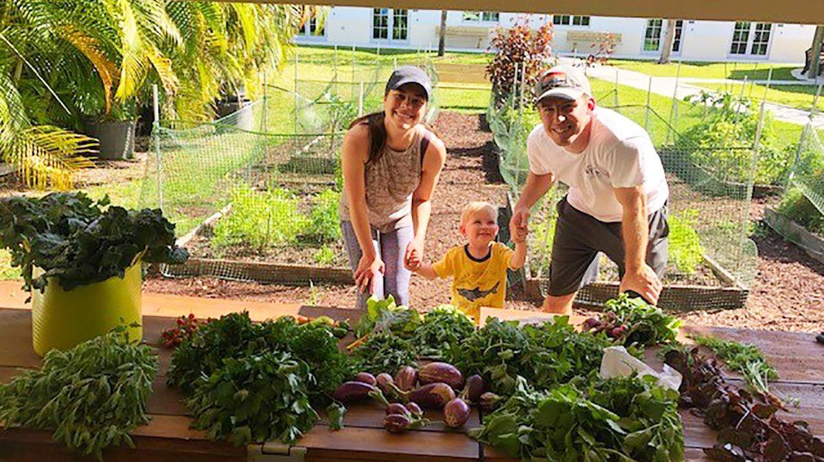 During the coronavirus crisis Lauren Keller ’17, and Middle School Department Chair Robert Moore and his son, Carter, help harvest produce from the Palmer Trinity School gardens. The school donated the food to Florida City families in desperate need after shelves were cleared of food in early panic buying. The school also donated, in collaboration with the non-profit Branches, foods from its cafeteria supply including frozen meat, eggs, spaghetti sauce, snack foods, fruits, vegetables, and other needed supplies.