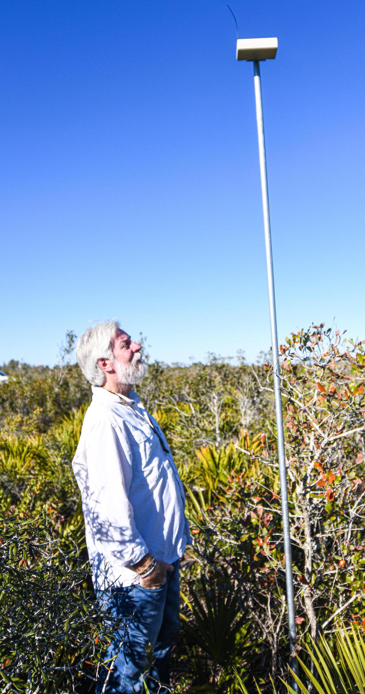 Reed Bowman of the Archbold Biological Station near one of the monitoring devices used to track young Florida scrub-jays.