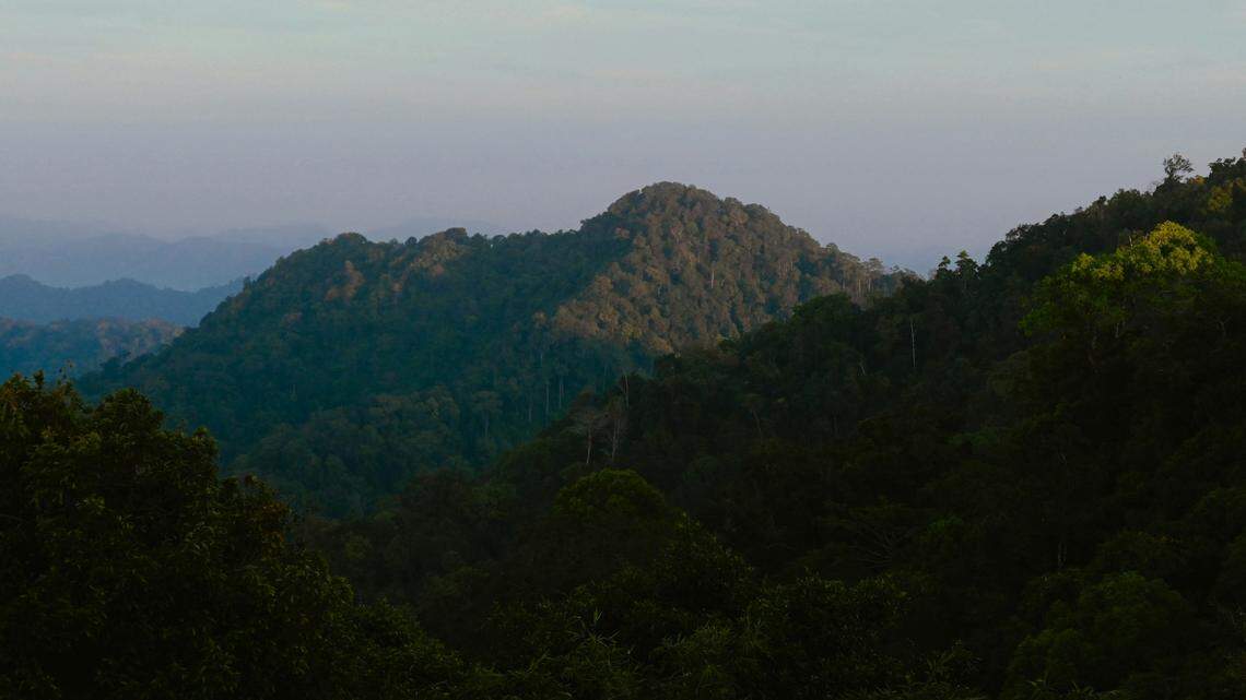 In a massive national park in Thailand, a dark creature made a rare appearance.