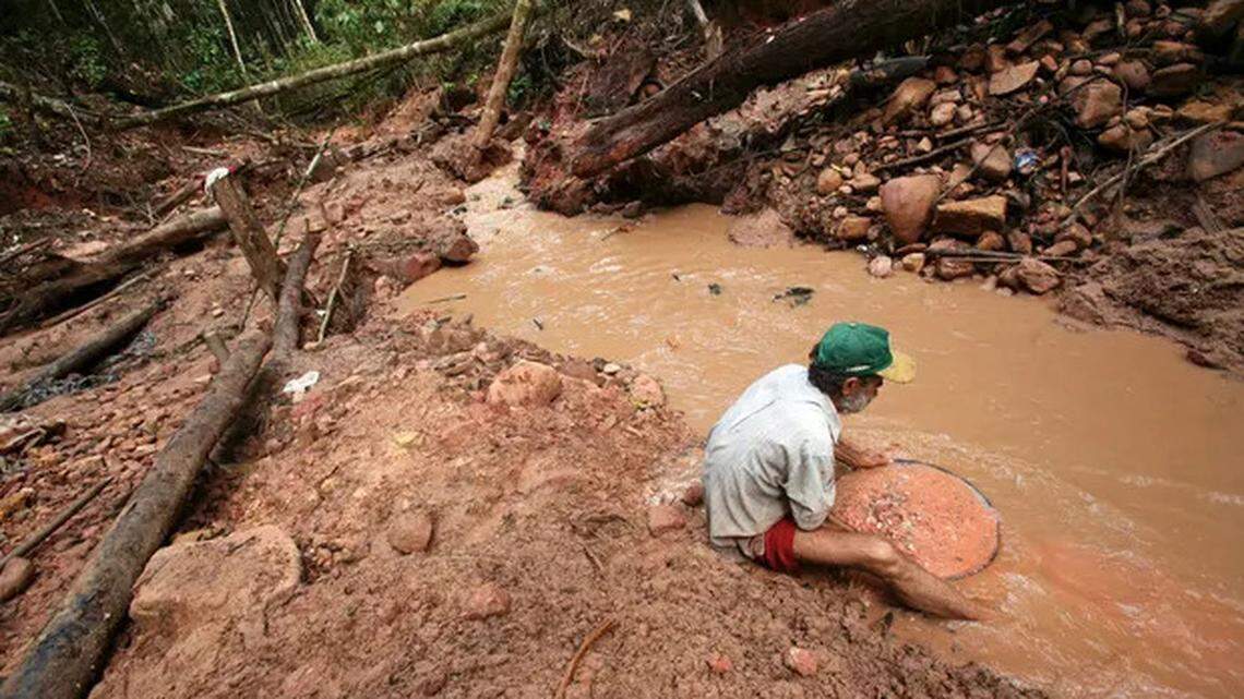 In Venezuela, stagnant water left by gold mining created conditions for malaria to reappear and spread.