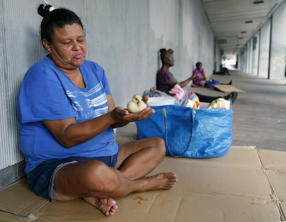 Mariane Sou, a homeless woman behind the closed Macy’s store in downtown Miami, holds a baby duck.