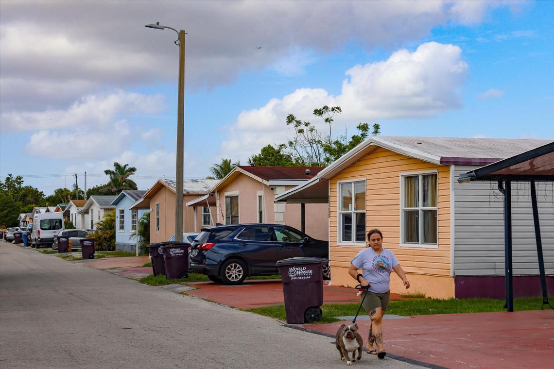 Yessy D., who asked that her last name be omitted, walks her dog, Mia, at Li’l Abner Mobile Home Park, where she and others face displacement, on Thursday, Nov. 14, 2024, in Sweetwater, Florida.