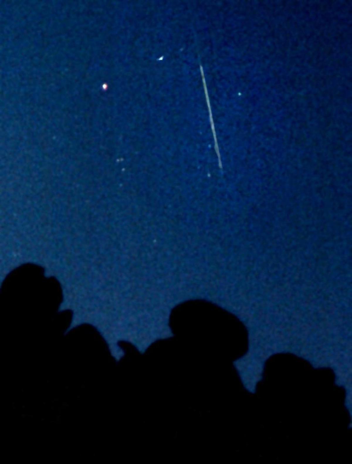 The annual Leonid meteor shower made stardust memories above South Florida in 2002 in Dania Beach.