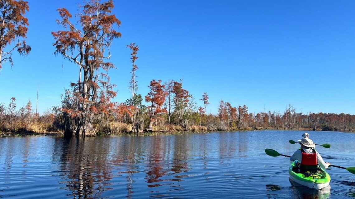 Camp, hike or paddle your way through this wild Georgia wonderland