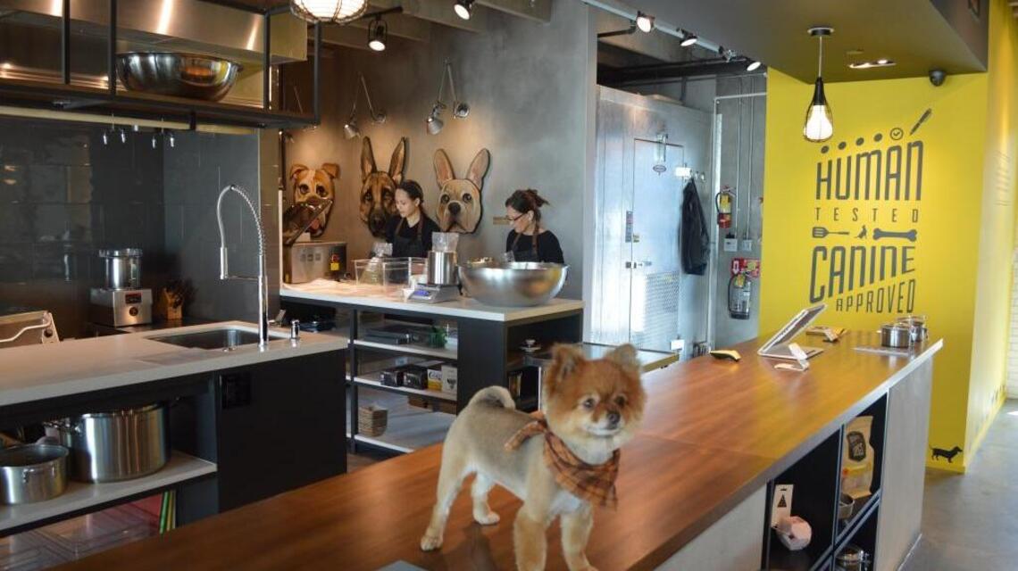 Pet owners pamper their pooches with fancy food cooked in Wynwood