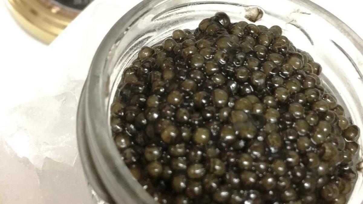 Black Opal Platinum Reserve Caviar from Sarasota’s Healthy Earth is from sustainably farmed black sturgeon.