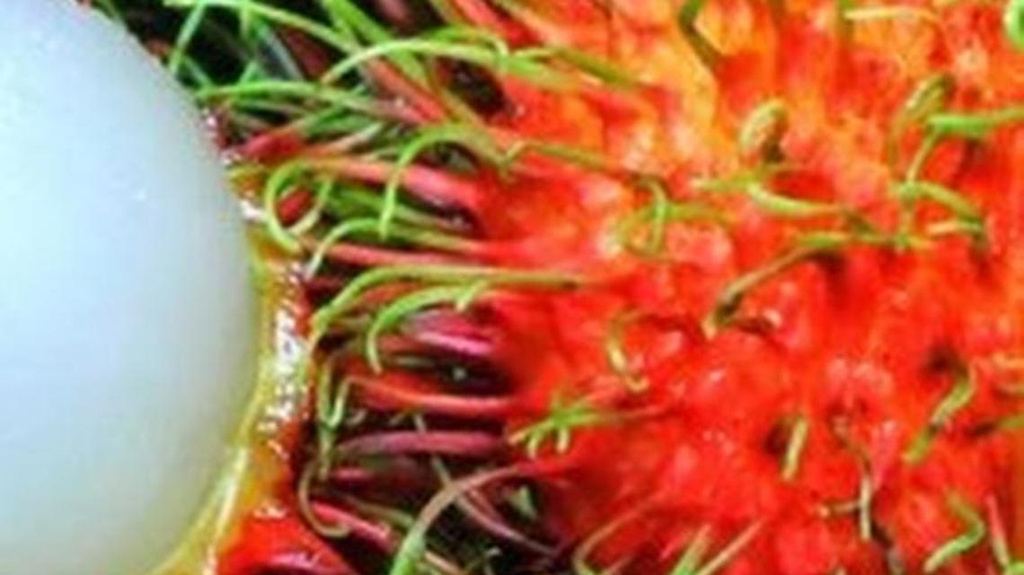 Close-up of ripe rambutans.