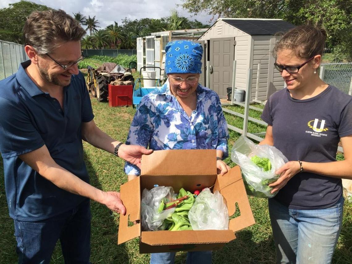 Parishioner and doctor Greg Schneider, left, who helps run Florida International’s mobile health program, picks up his weekly subscription box at St. Simon’s church. FIU medical students pick fresh vegetables from this farm and deliver them to communities they serve that don’t have access to fresh vegetables, while they are visiting patients in their mobile van. Parishioner Connie Boronat, center, and Erin Kashem, farmer Moses’ wife, show off radishes and butter lettuce that were part of this week’s box.