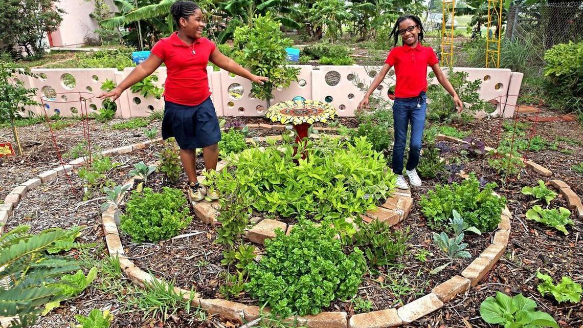 Gabrielle Placide 9, and Kamilah Muhummug 9, walk around the “food forest” culinary garden at Lake Stevens Elementary. They are part of the garden club that helps maintain the school’s food forest, which provides produce that is used in school lunches. Their teacher Althea Ricketts-Burke won a school system-wide recipe contest to create dishes using ingredients from the food forest.