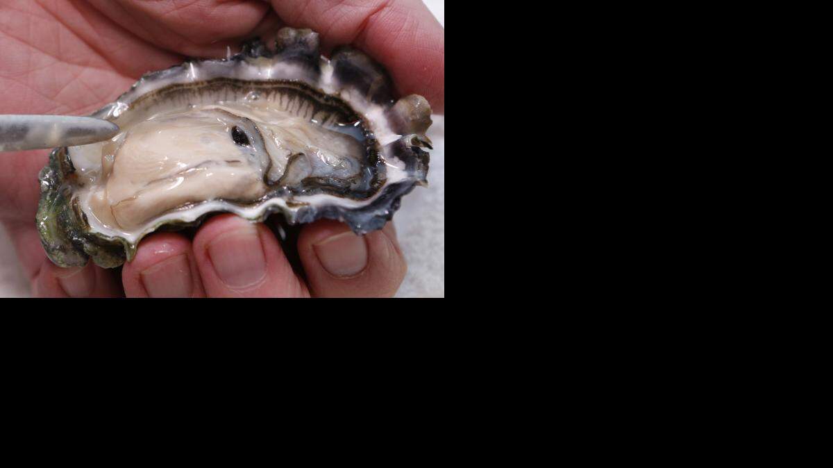 
Time to slurp: A raw oyster is all you need. Well, and maybe a glass of cold white wine. 
