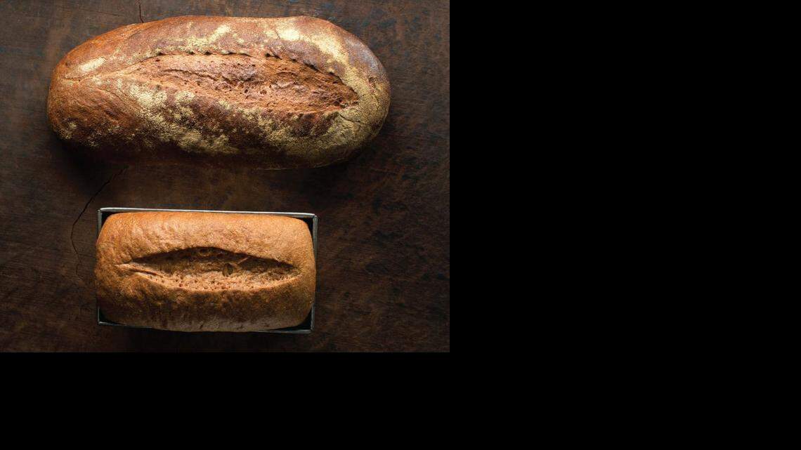 
Sprouted success: Loaves of sprouted-grain bread from Peter Reinhart’s new cookbook, ‘Bread Revolution.’ 
