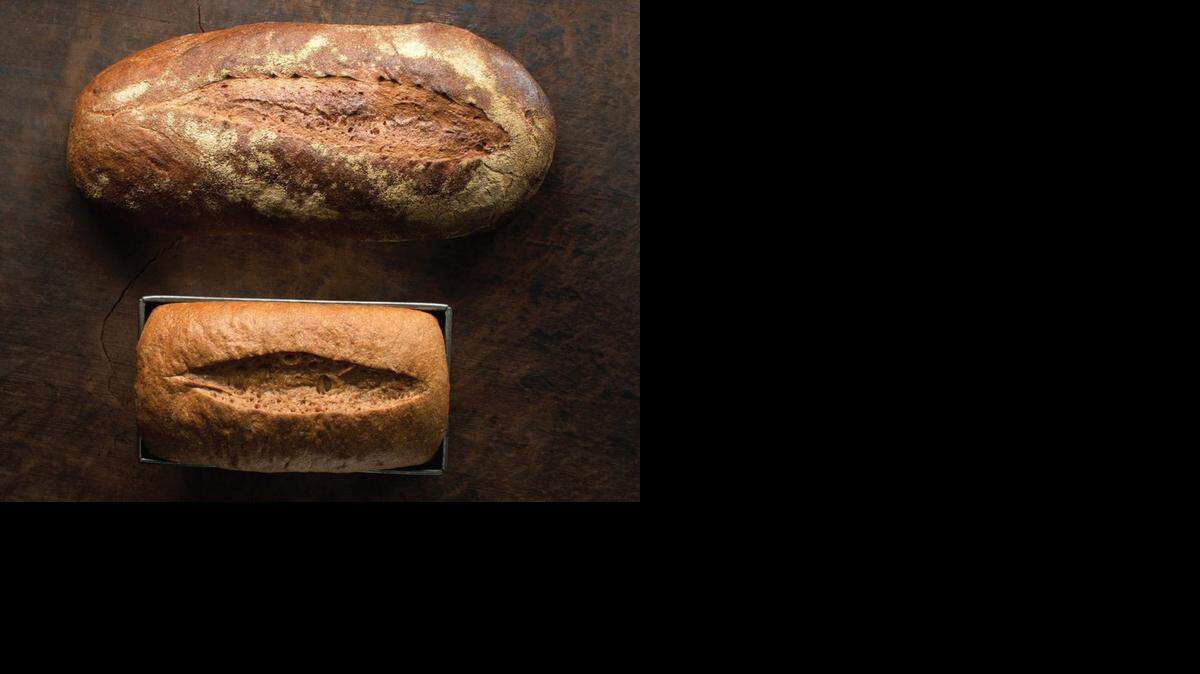 
Sprouted success: Loaves of sprouted-grain bread from Peter Reinhart’s new cookbook, ‘Bread Revolution.’ 
