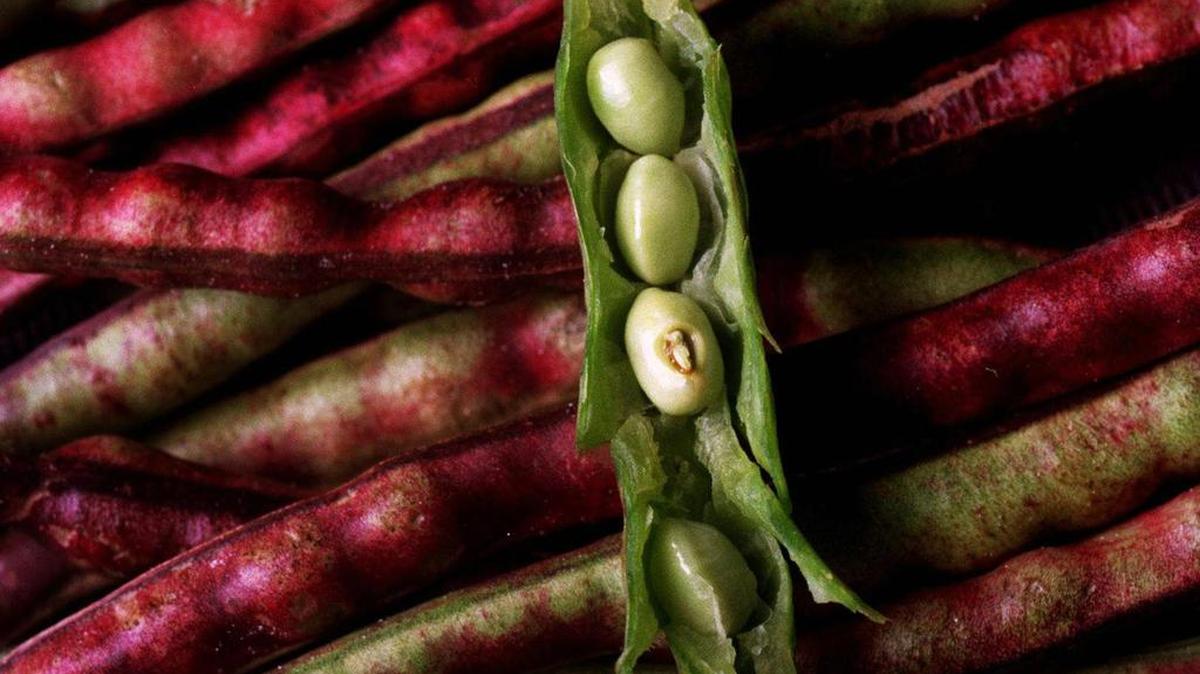 
In season: Fresh peas are at their peak now. 
