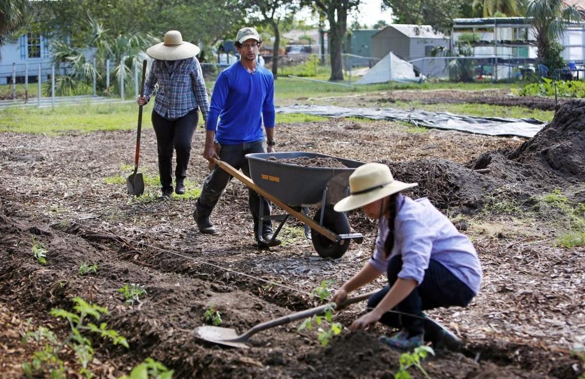 Moses Kashem, 27, center, founder of St. Simon’s farm, works with Mary Johnson, 28, left, community supported agriculture manager, and Katherine Tien Hung, 34, farm manager, planting young tomato plants.
