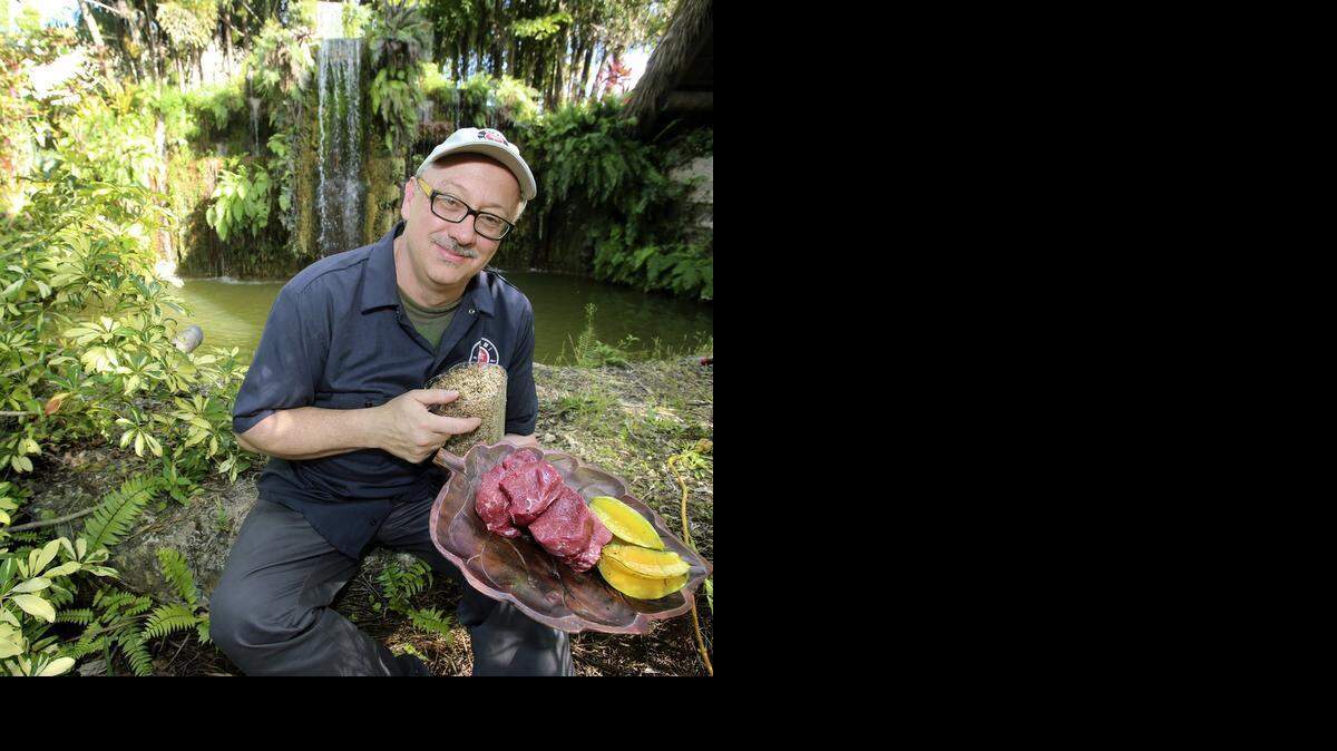 
Down on the farm: Dewey LoSasso, culinary director for Schnebly Redland’s Winery and Miami Brewing Co. in Homestead, shows some of the local ingredients he’ll be using for Valentine’s Day, including Florida grass-fed beef, carambolas from Schnebly’s farm and spent grains from the brewery.
