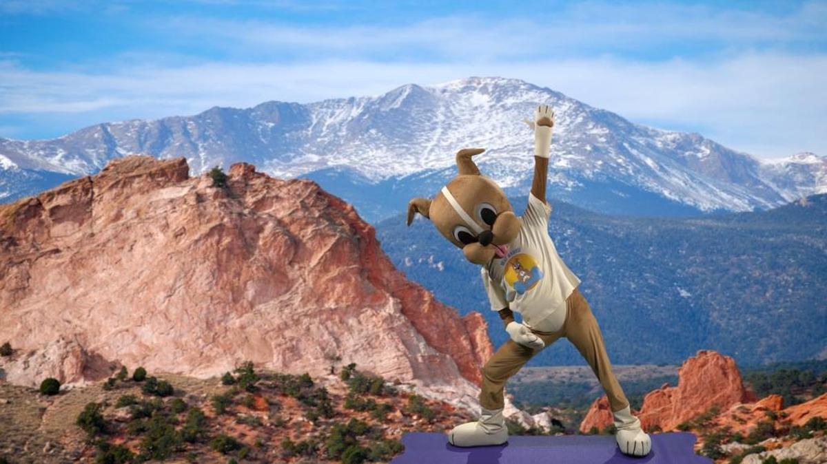 Adam Avin, who is one of the youngest certified yoga instructors in Florida, created Wuf Shanti, a life-size dog that performs yoga poses and sings along with children in front of the camera.