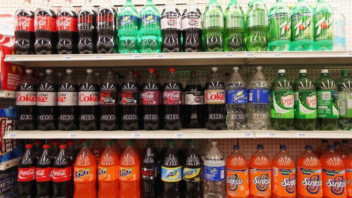 Two Florida legislators want the state to introduce a deposit on cans and bottles to reduce litter and increase recycling