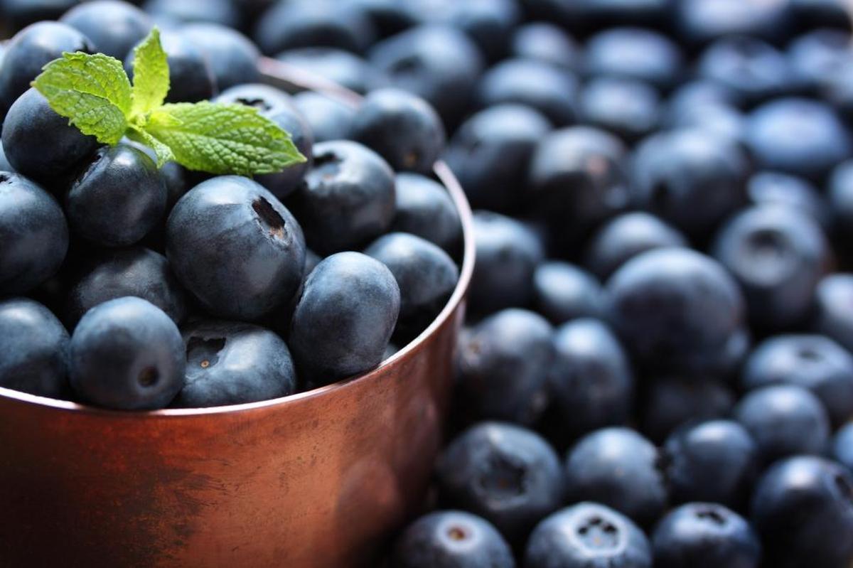 Blueberry