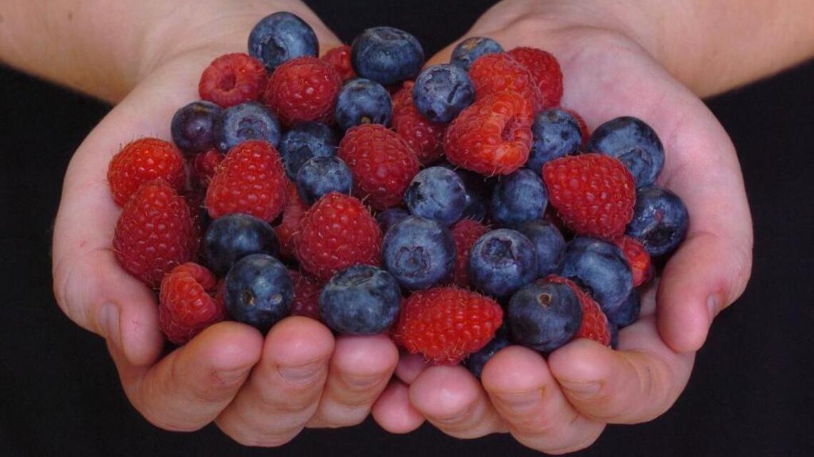 Five antioxidant-rich foods to pile on your plate for better skin