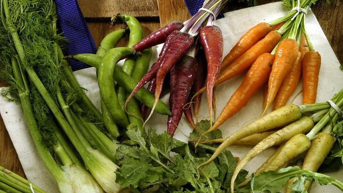 Vegan diets are beneficial as they tend to be high in fruits and vegetables, but parents must be aware that high-fiber diets can lower protein absorption and reduce kids’ overall caloric intake.