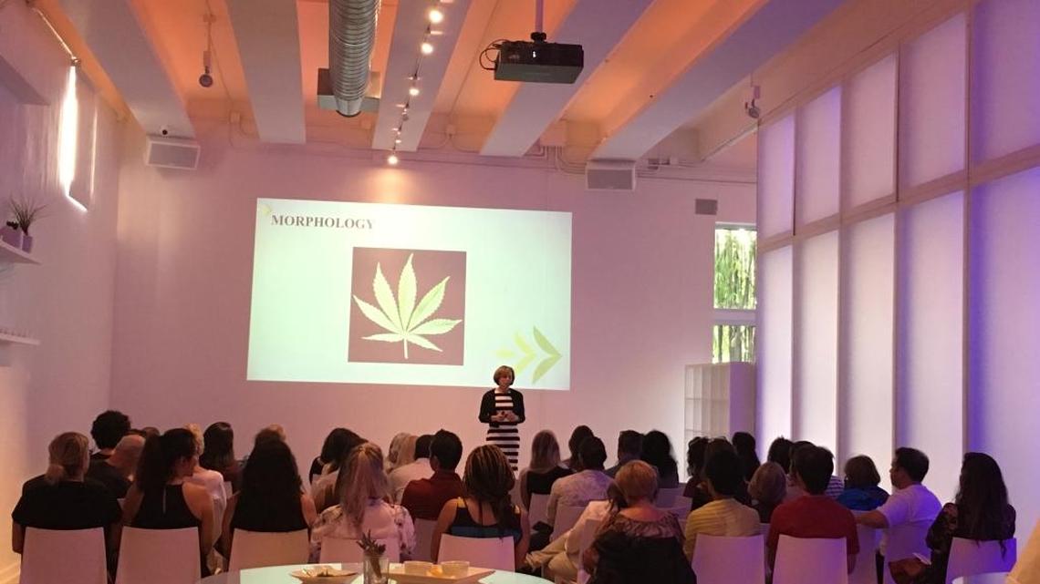 Dr. Debra Kimless speaks to attendees about trends toward medical cannabis and botanical medicine at Sacred Space Miami on June 8.