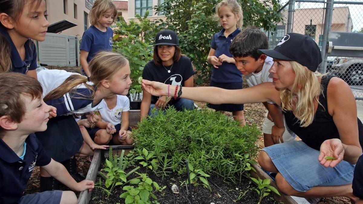 Julie Frans, from Green Gardens, reaches out to Dylan Turken, to let her smell one of the herbs grown in the garden of North Beach Elementary School, Wednesday, October 21, 2015. Jennefer Mercado, from Jugofresh (center top with hat) represents the company in their initiative for a dozen school gardens.