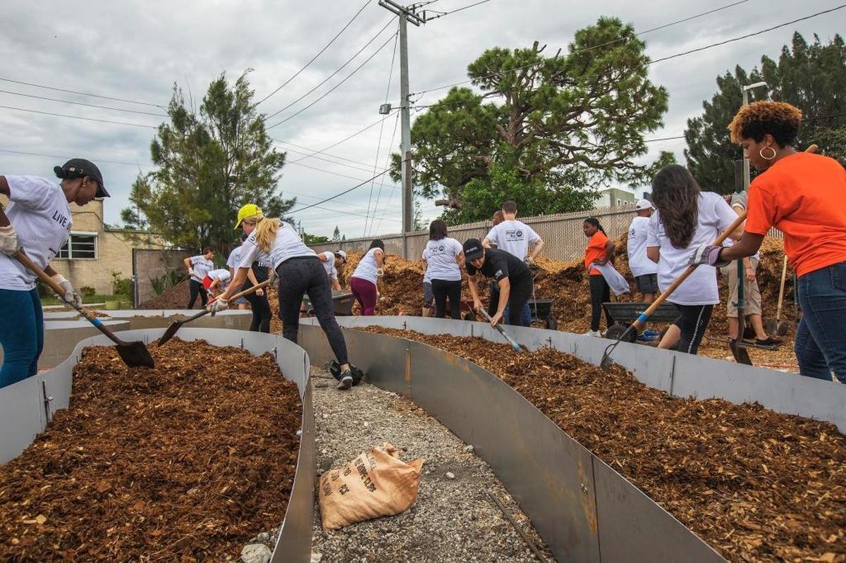 United Way volunteers plant a vegetable garden at the Opa-locka Community Development Center on Oct. 28, 2017.