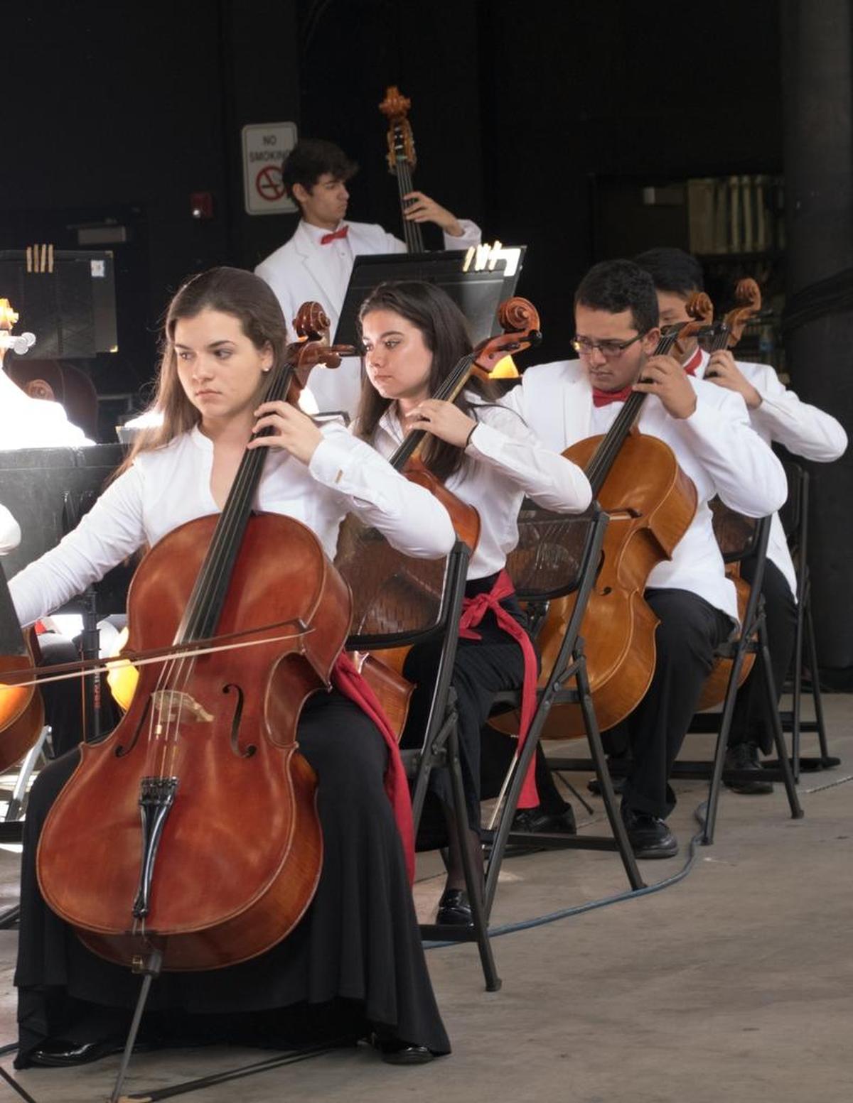 Cellists in the Florida Youth Orchestra.