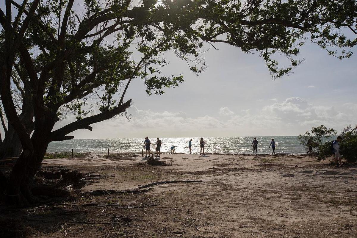 A coastal cleanup at Virginia Key Beach Park sponsored by Miami Waterkeeper.