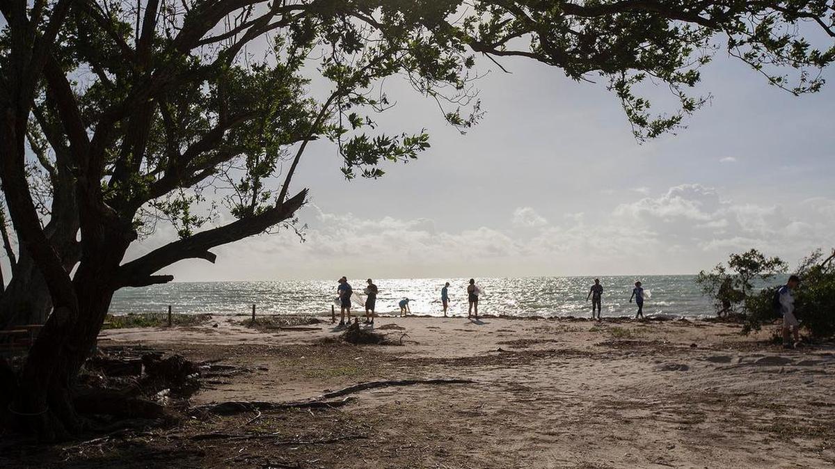 A coastal cleanup at Virginia Key Beach Park sponsored by Miami Waterkeeper.