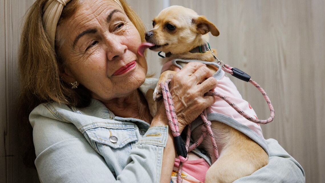 How needy pets and their owners can get help with medical care, vaccines and some TLC