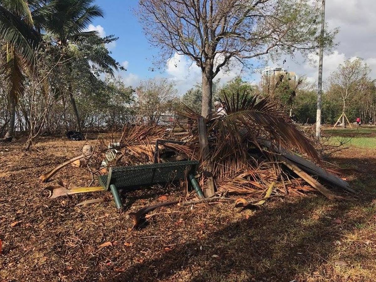 After Hurricane Irma, Miami Waterkeeper and the City of Miami Parks Department hosted a clean-up at Kennedy Park in Coconut Grove. Volunteers collected more than 1,350 pounds of trash and storm debris, considerably more than the 200 to 300 pounds they would normally collect.