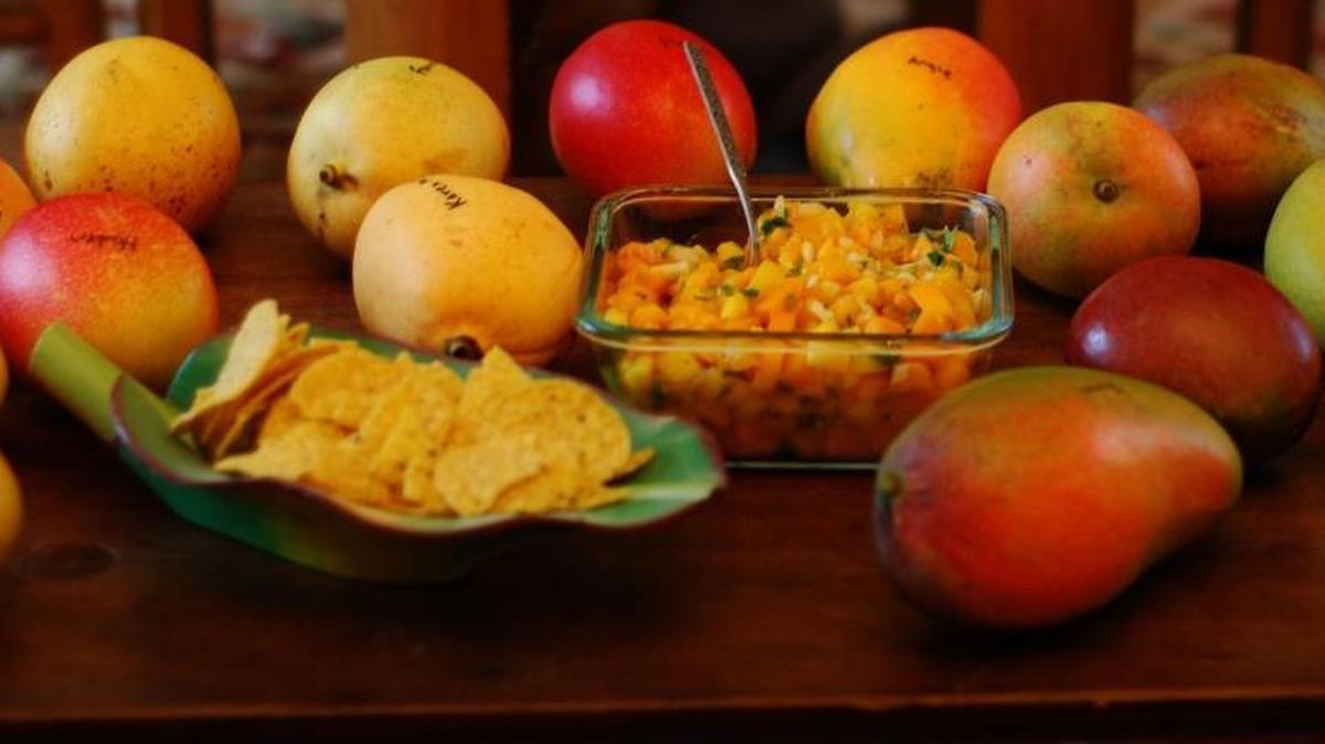 David Fairchild brought seeds of many varieties of mango back to the U.S. The tropical fruit is celebrated with its own festival at Fairchild Tropical Botanic Garden, which was named in honor of the plant explorer.
