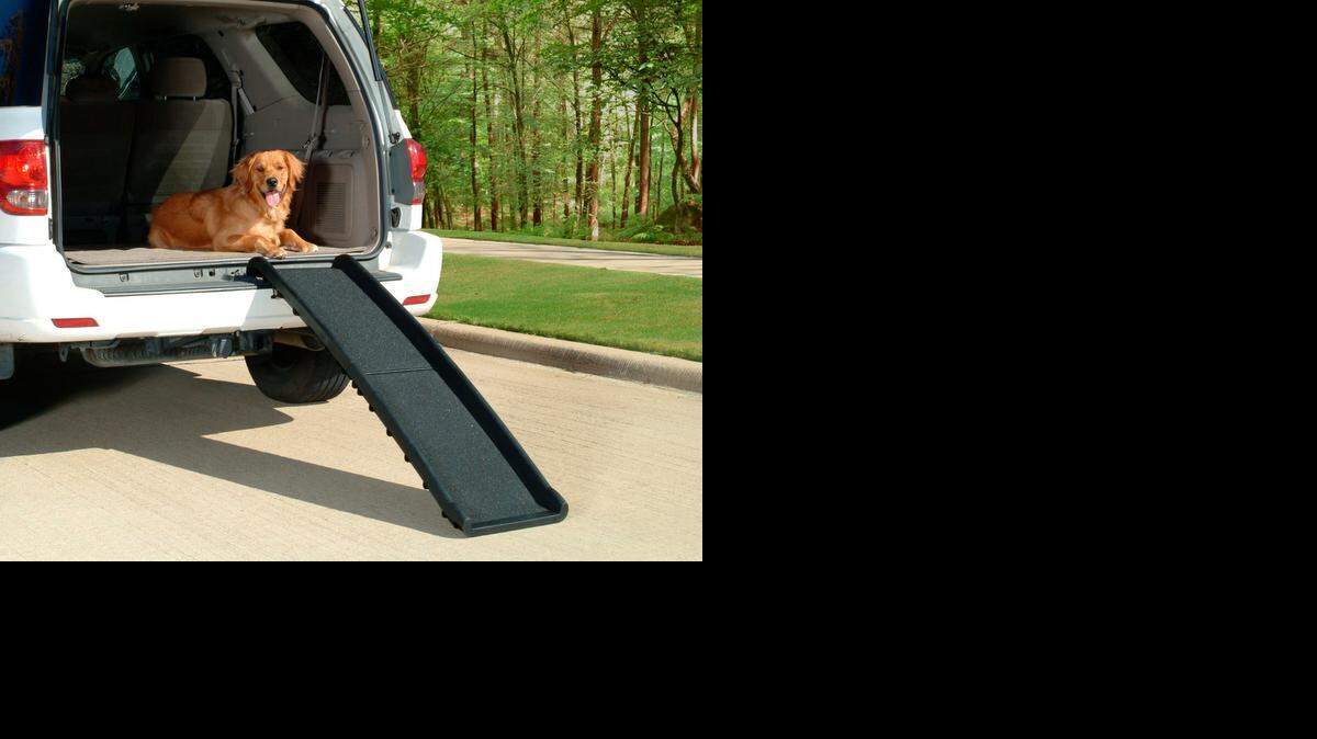
Folding steps like these from Wayfair.com help ease the transport of elderly pets and can be conveniently stored at home or in your vehicle. 
