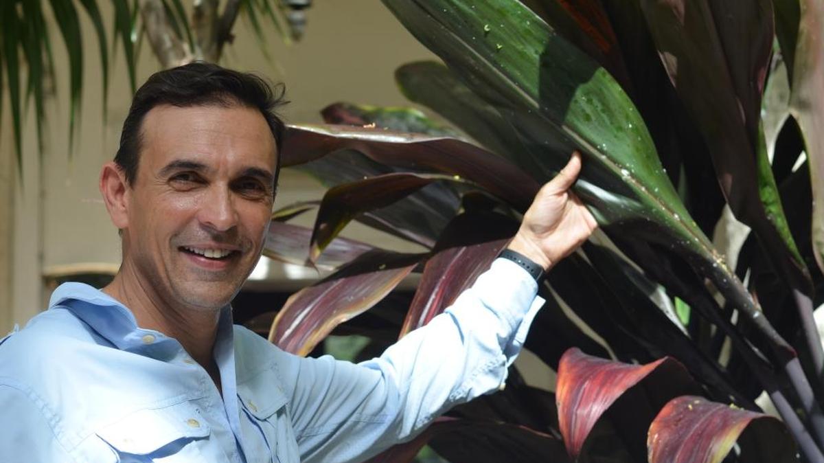 David Hardy, a historic landscape specialist for Vizcaya gardens, shows off the damage mealy worms can wreak on plants.