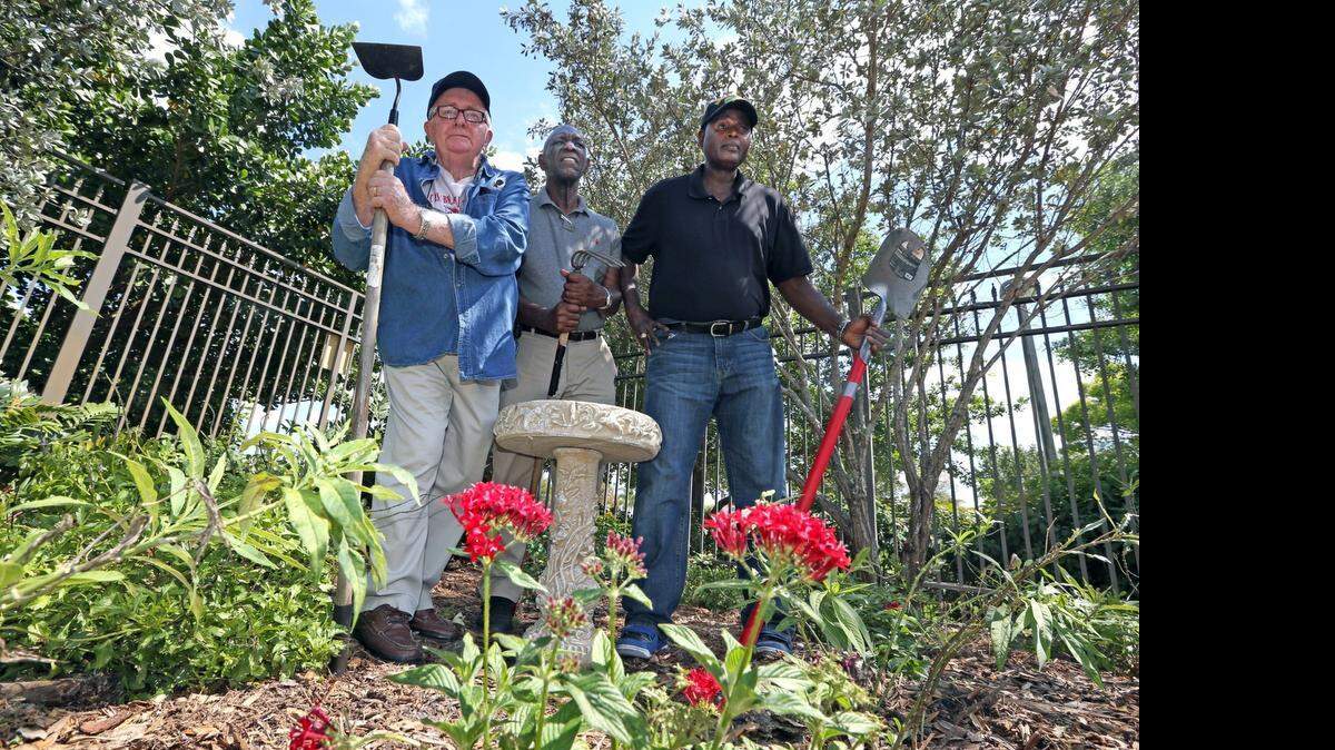 
Brendan Doyle, Errol Simmons and Michael Thomas are three veterans and master gardeners who were instrumental in getting a butterfly garden planted on VA clinic property in Sunrise.
