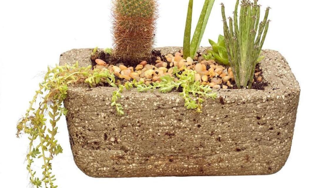 Inexpensive garden fun with hypertufa pots