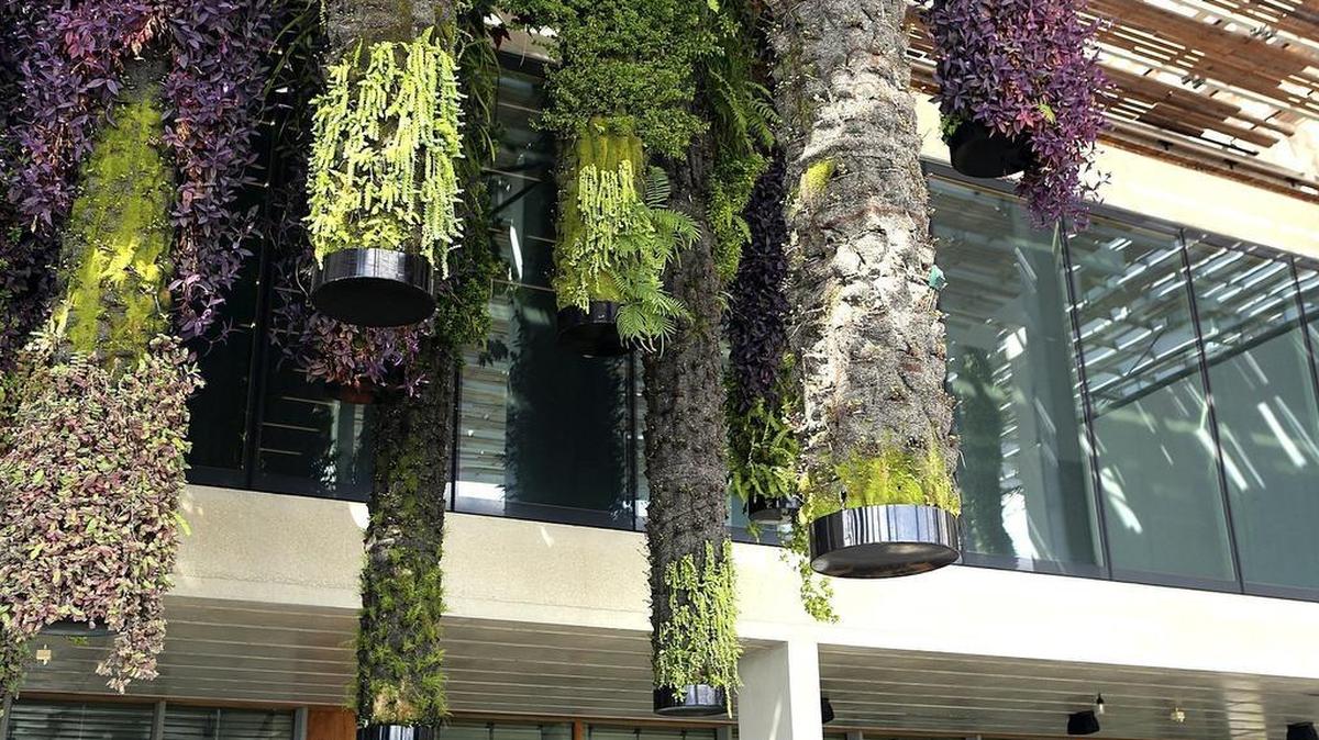 
A colorful variety of plants grow in hanging gardens outside the Perez Art Museum Miami, serving as living sculptural elements. 
