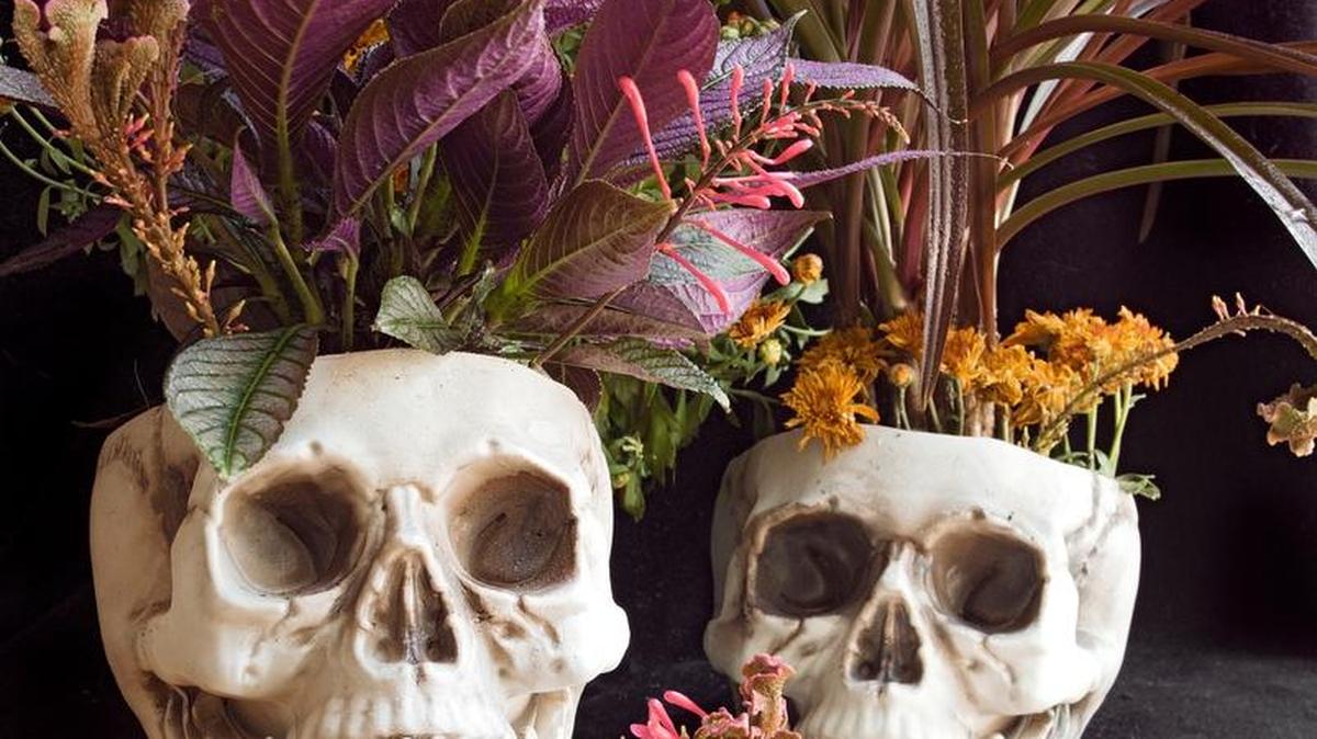 Skulls are easily altered to accommodate plants. Don’t forget the drainage holes.