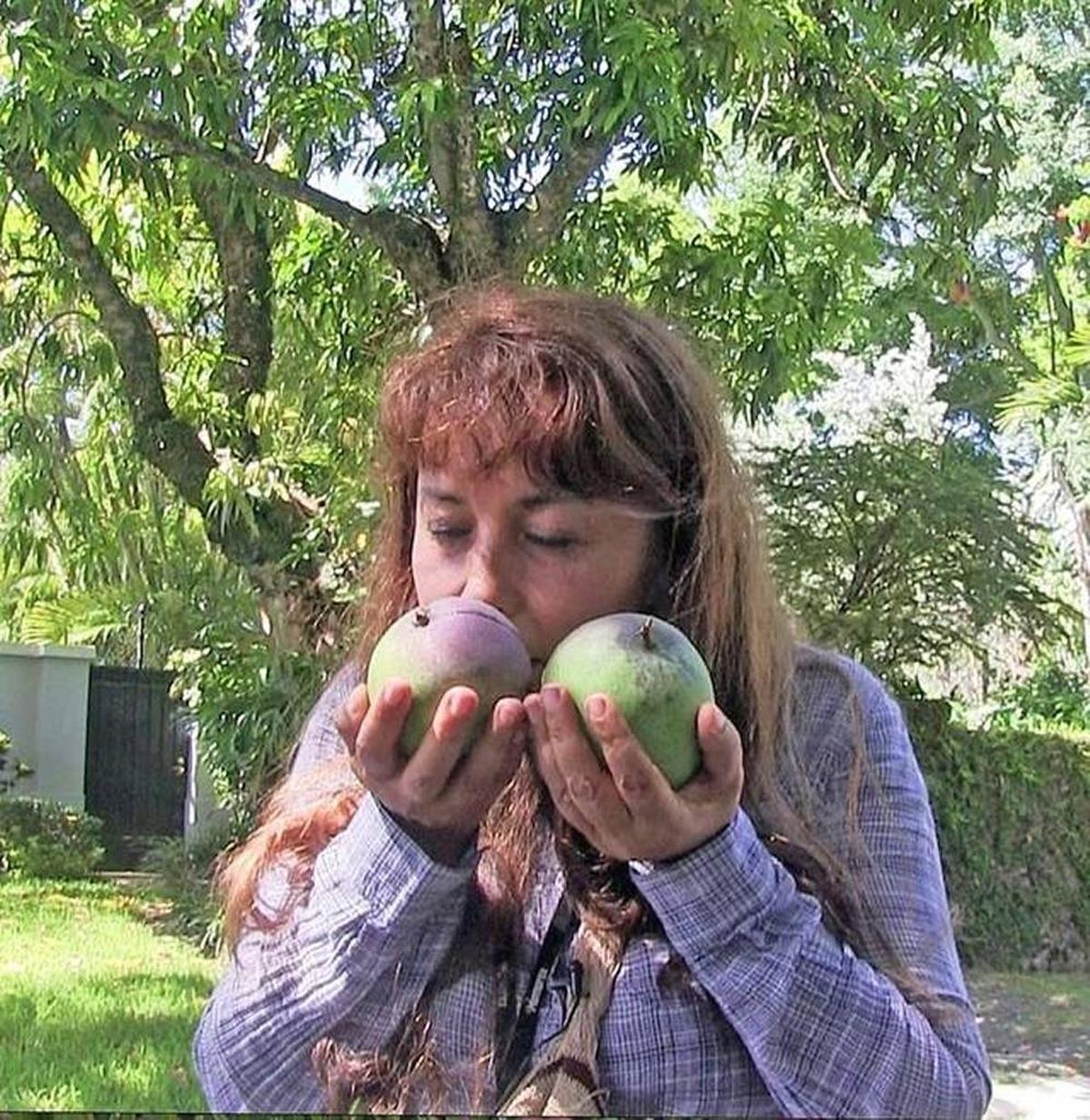 Noris Ledesma of Fairchild Tropical Tropical Botanic says you should still plant mango trees.