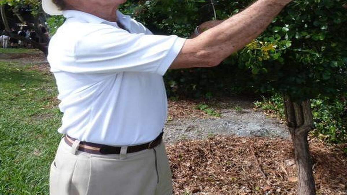 
Larry M. Schokman at the Jean Willis Flowering Tree Park in South Miami.
