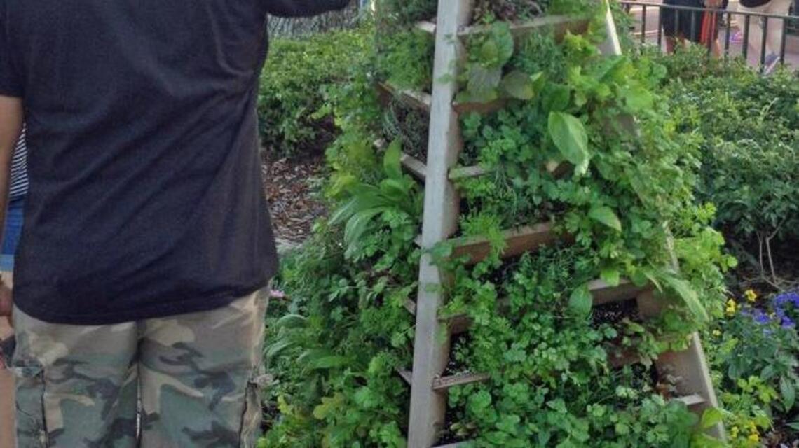 Vegetable gardens can benefit from being grown vertically too