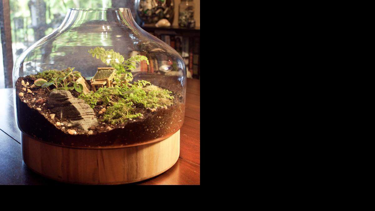 
The finished arrangement, a contained world safe from wayward cats.
