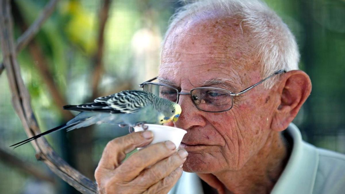 
Fred Cohen, in his 70s, is well past the age of retirement, but he continues to work part-time feeding the birds at ZooMiami.
