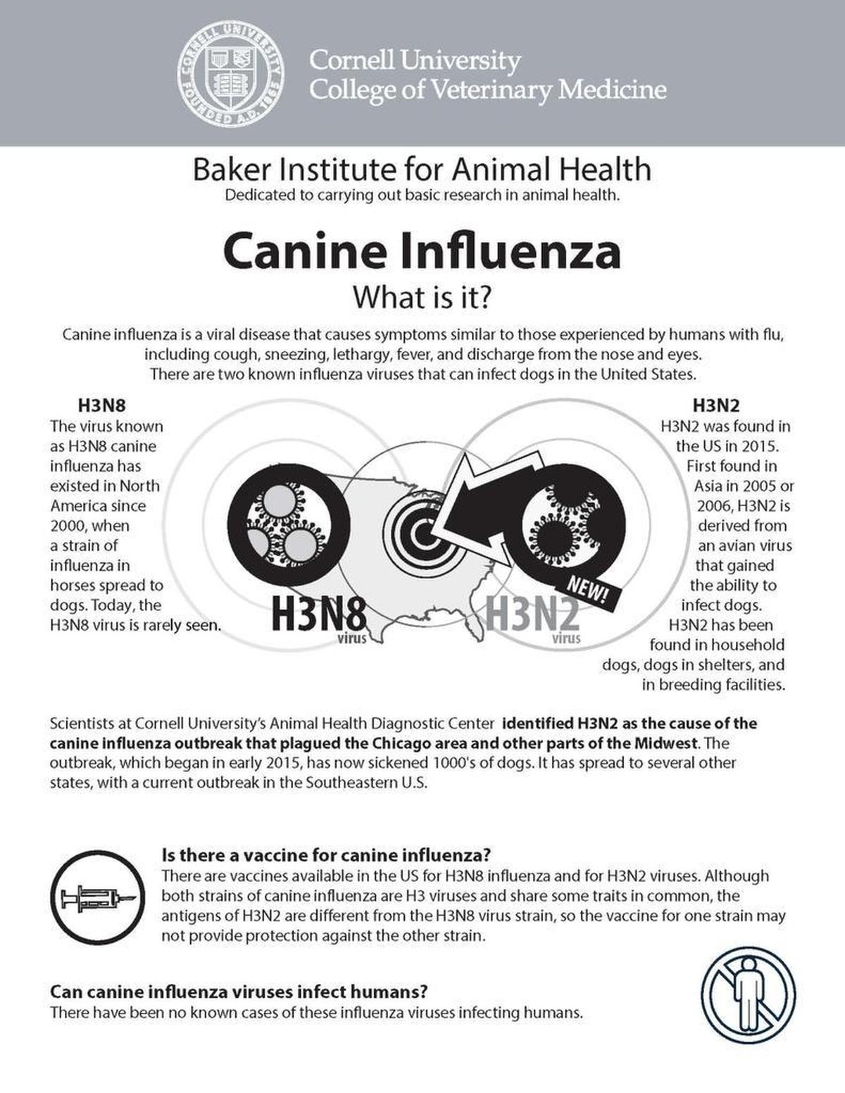 Fact sheet, page one, of Cornell University College of Veterinary Medicine’s canine influenza tips sheet. The college’s Baker Institute for Animal Health tracks canine influenza in the United States.