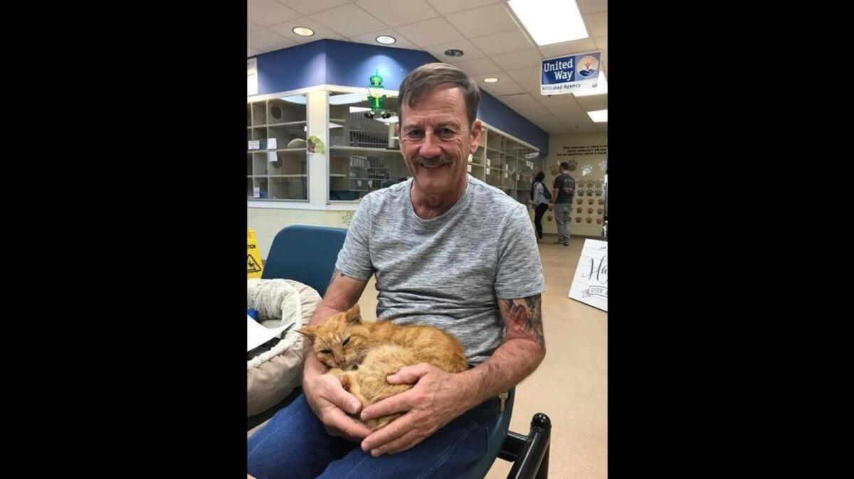 T2 the tabby cat was reunited with his owner Perry Martin in Fort Pierce March 9, 2018, at the Humane Society of the Treasure Coast. The cat had been missing for 14 years but a chip in its shoulder helped vets track down Martin and make the reunion.