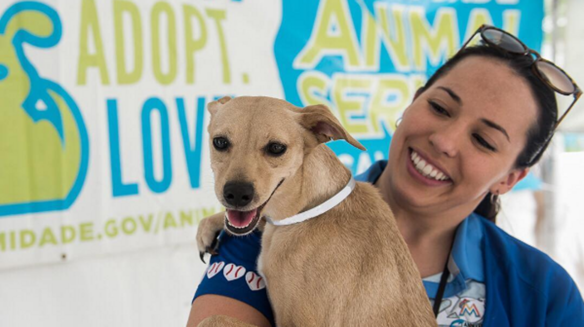 Want to bring home a pet? Miami-Dade County is offering $1 adoptions today