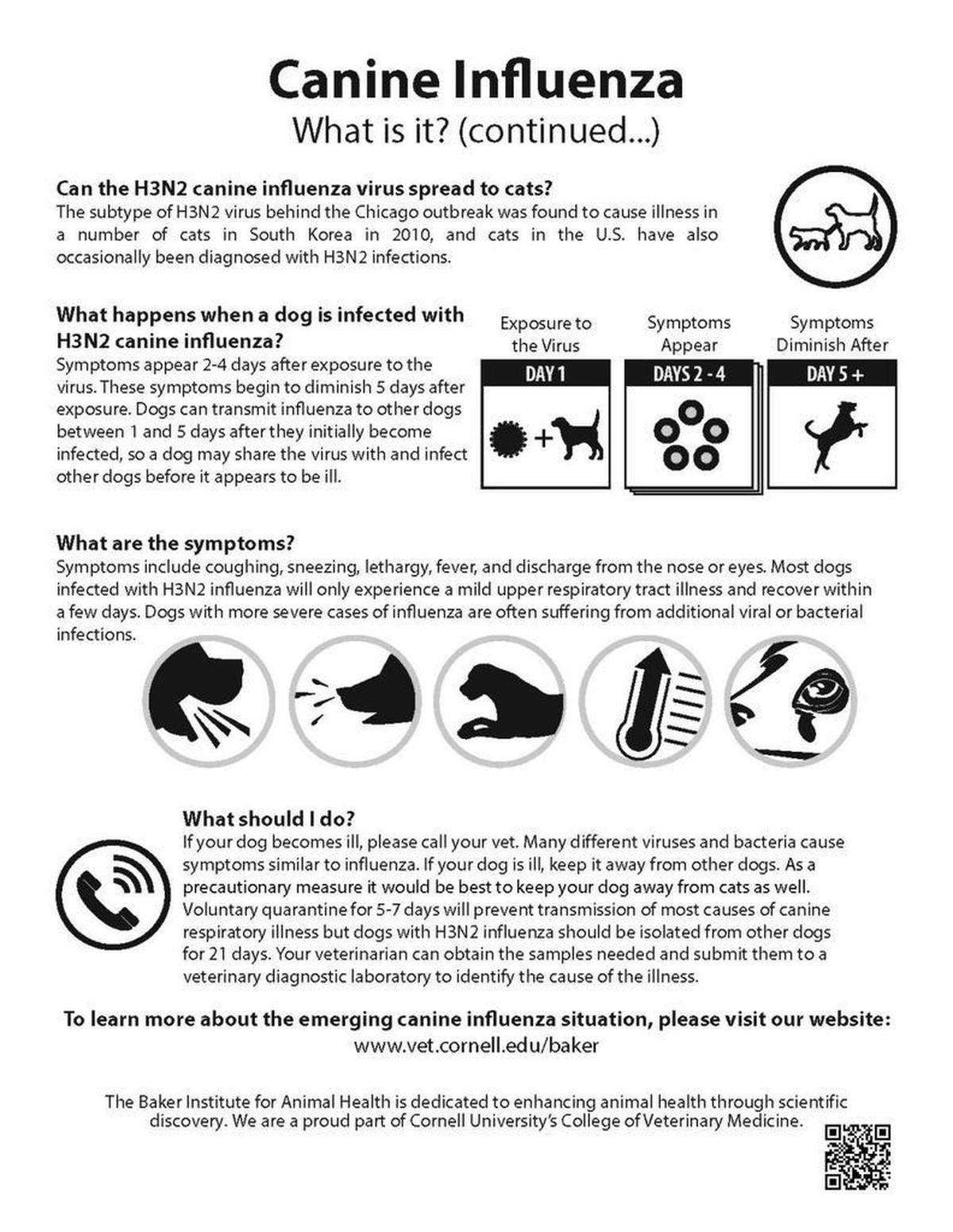Fact sheet, page two, of Cornell University College of Veterinary Medicine’s canine influenza tips sheet. The college’s Baker Institute for Animal Health tracks canine influenza in the United States.