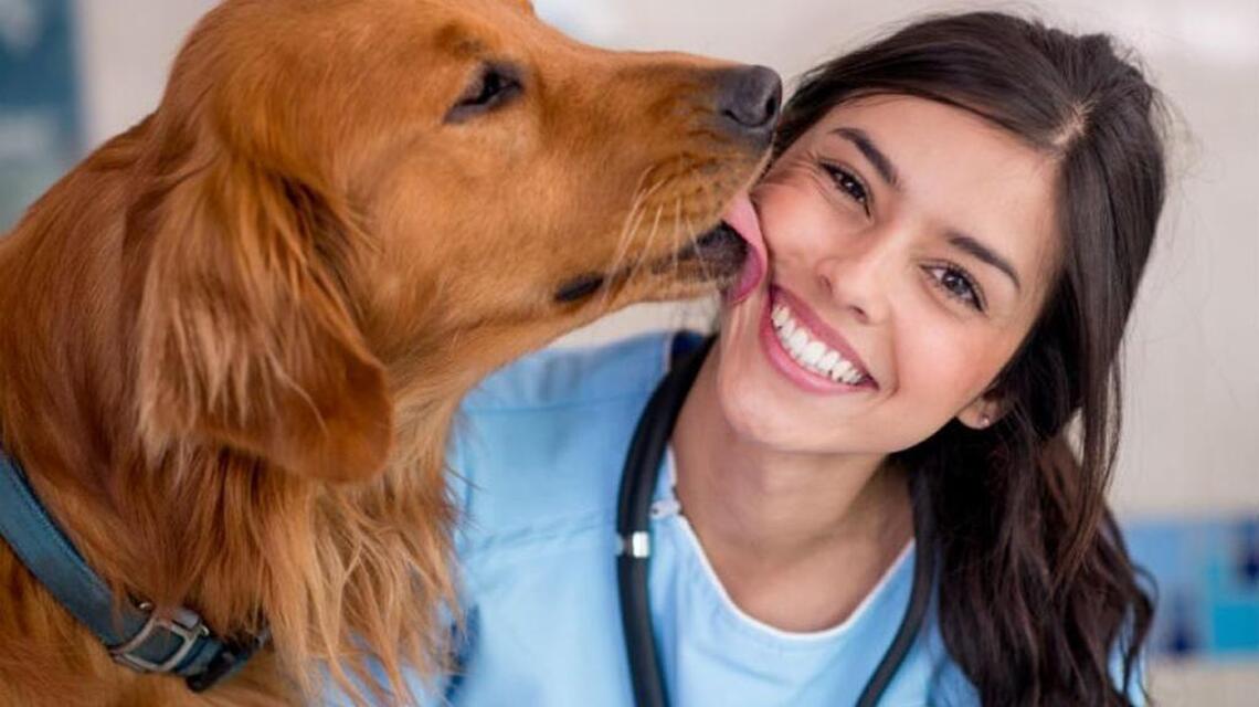 Vet techs save you money, and pet still gets great care
