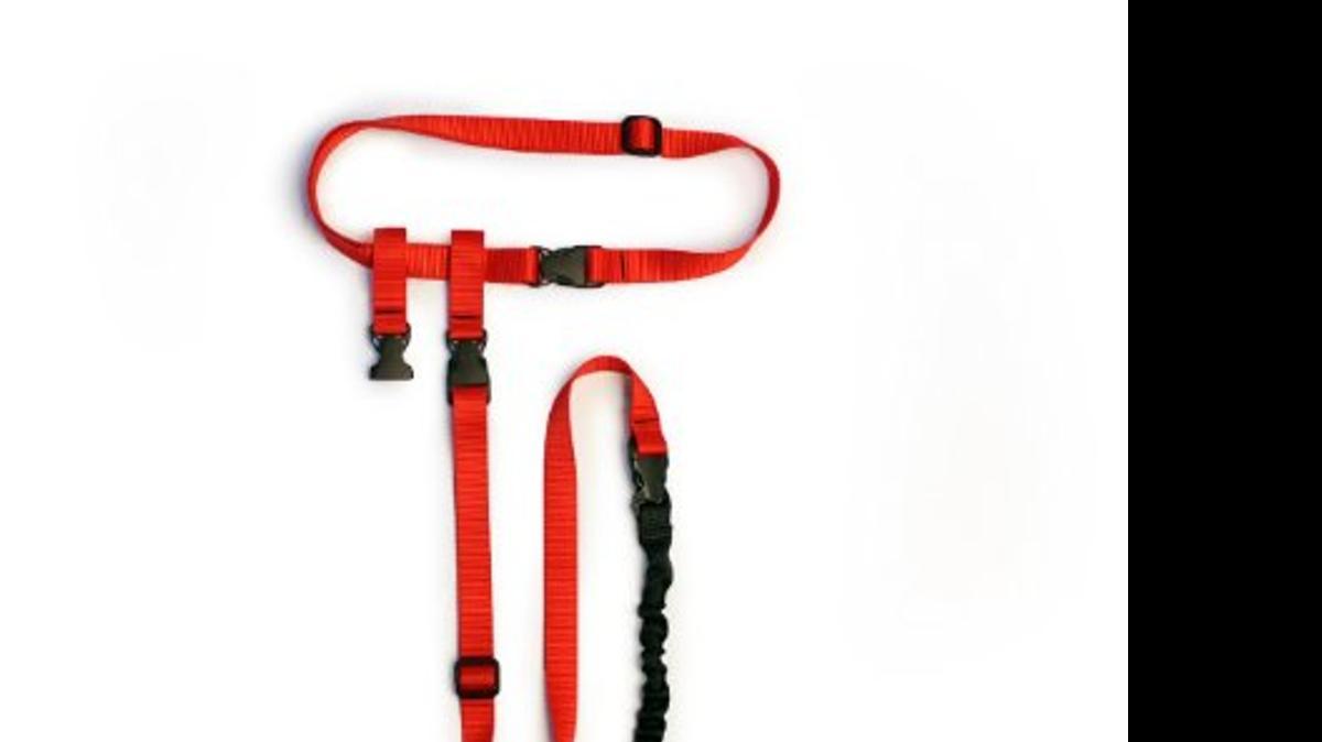 
Buddy System Hands-Free Leash System and Lunge Buster
